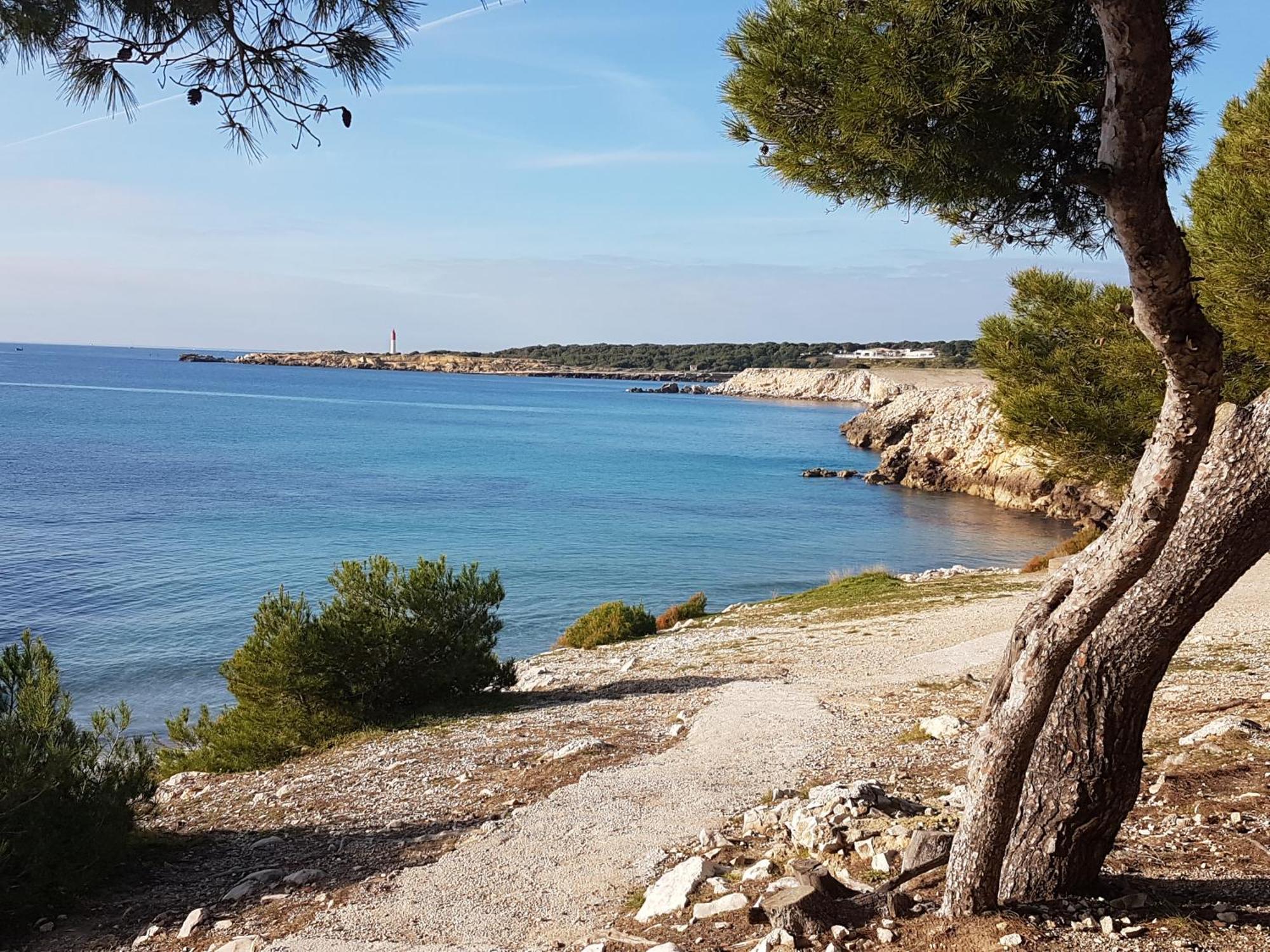 A 50m Du Port De Carry-cote Bleue Apartment