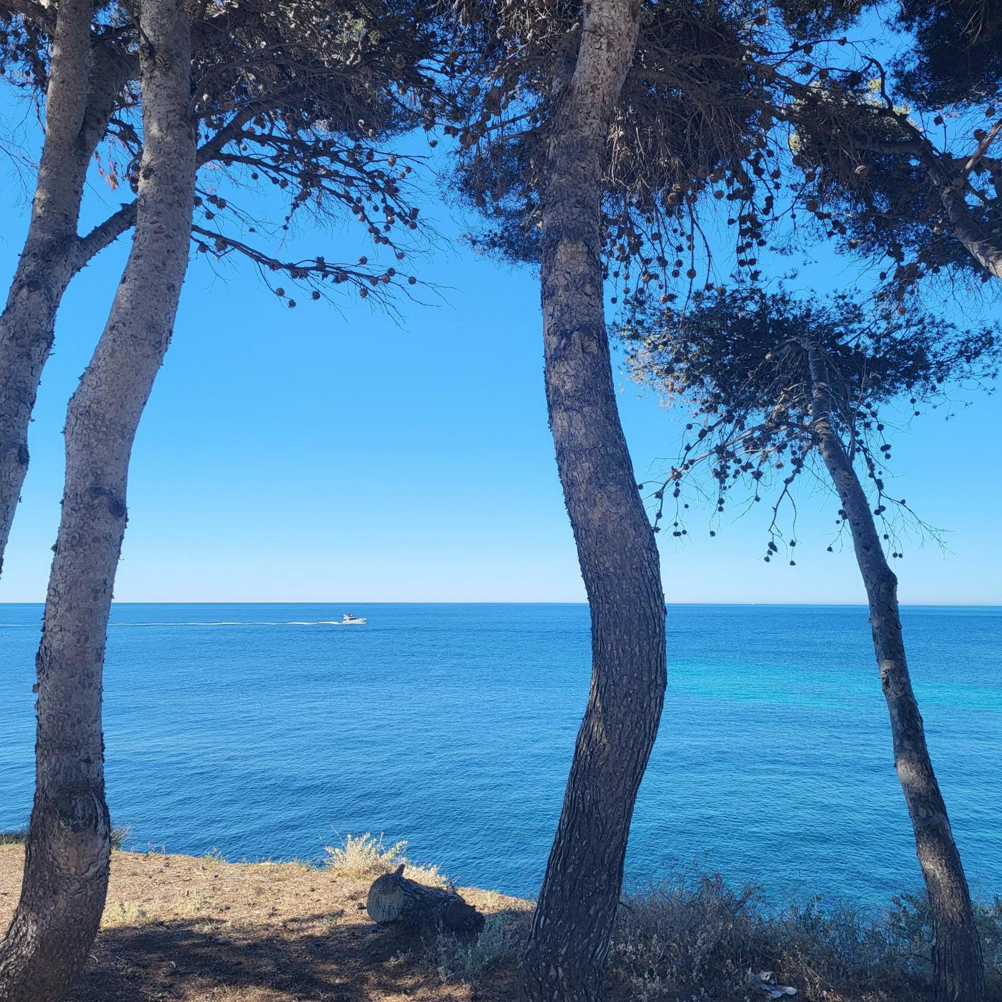 A 50m Du Port De Carry-cote Bleue *